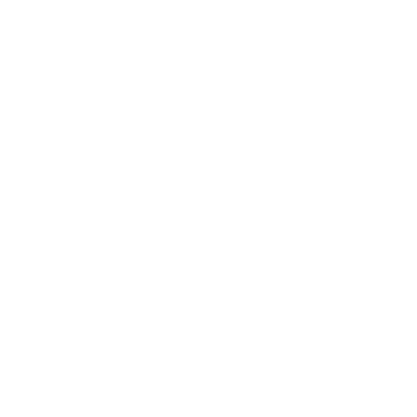 Logo BigWall